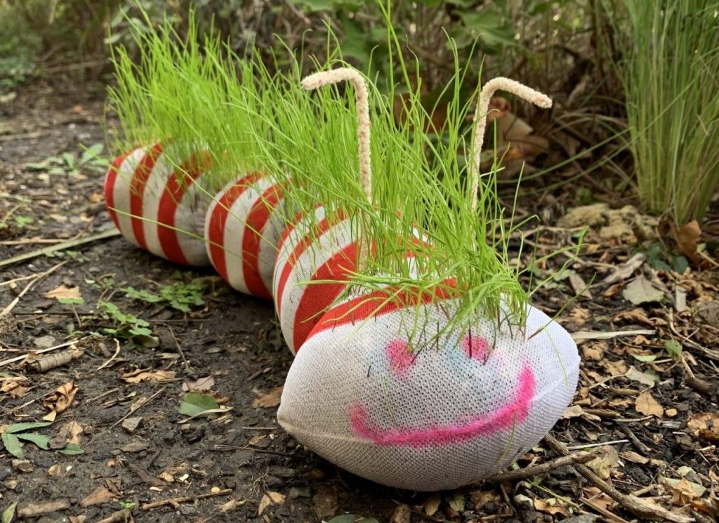 Grass earthworm