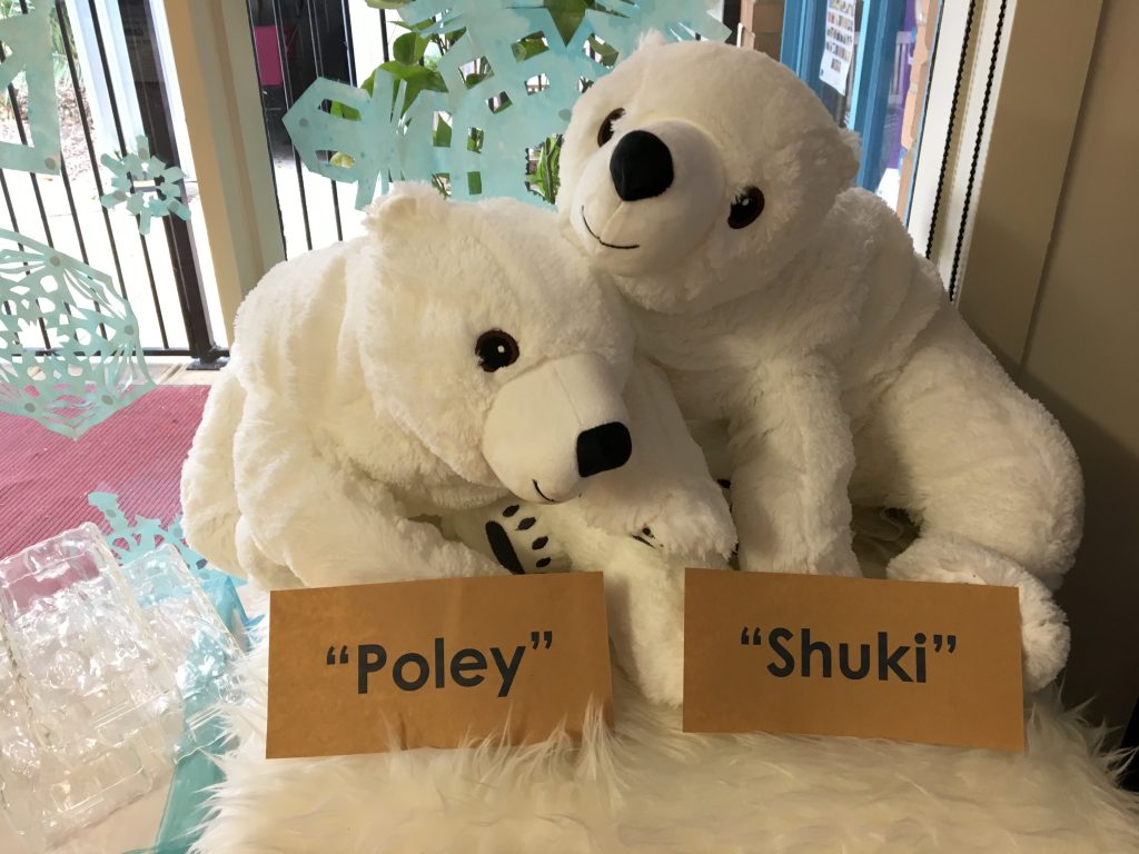 Two polar bear stuffed toys named Poley and Shuki that the children named for polar bear day 